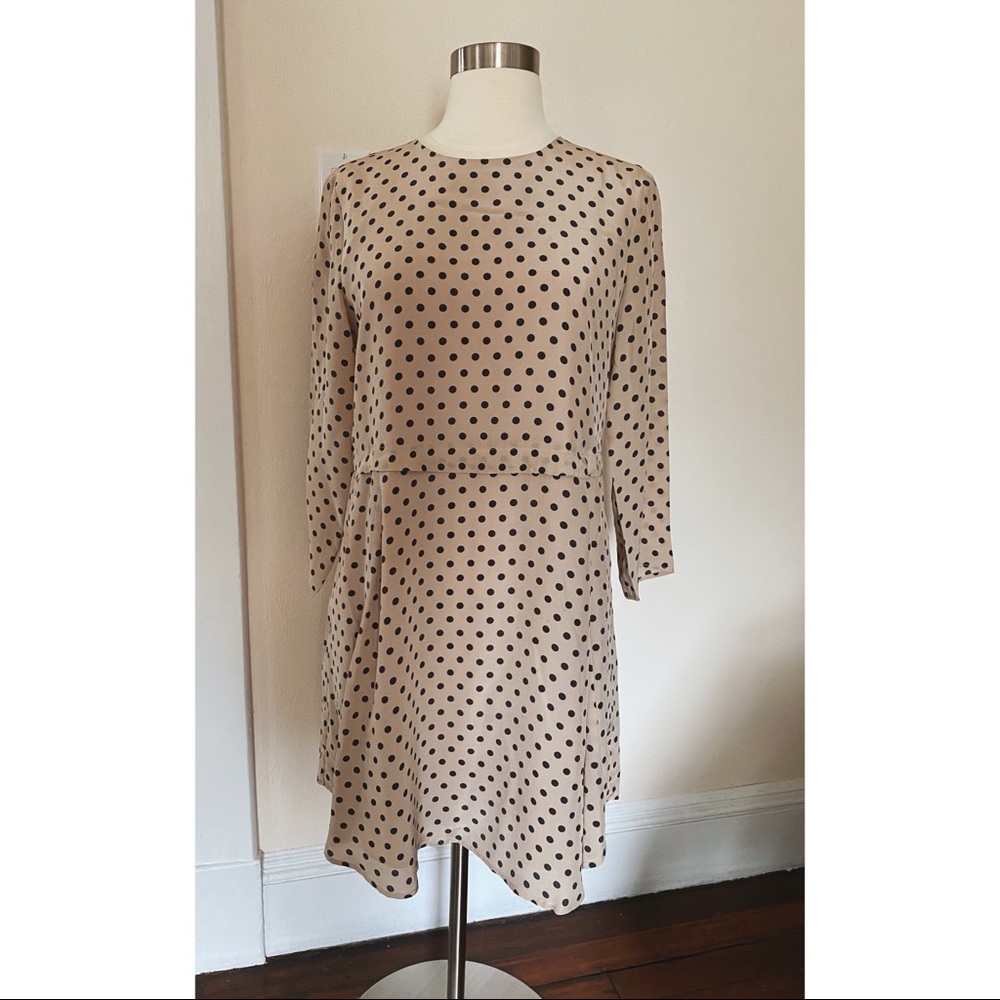 Madewell Silk Polka Dot dress with pockets